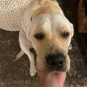 Meet your Posher, Mckenzie